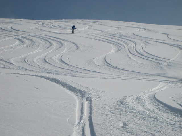 Tracks in the snow Tracks in the snow